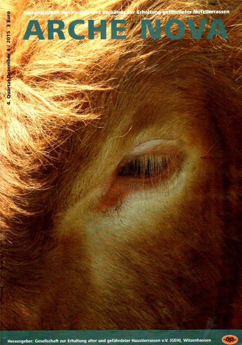 Titelbild: Im Blick - Regionale Rinderrassen, Gefährdete Nutztierrassen des Jahres 2016, Glanrindbulle von Züchter Horst Backmann Arche-Hof Huberetusblick, Foto: Feldmann